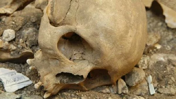 Раскопанный в Калининграде некрополь ученых передадут в собственность региона 