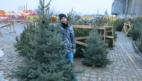 Сербские елки привезли в Калининград из Латвии